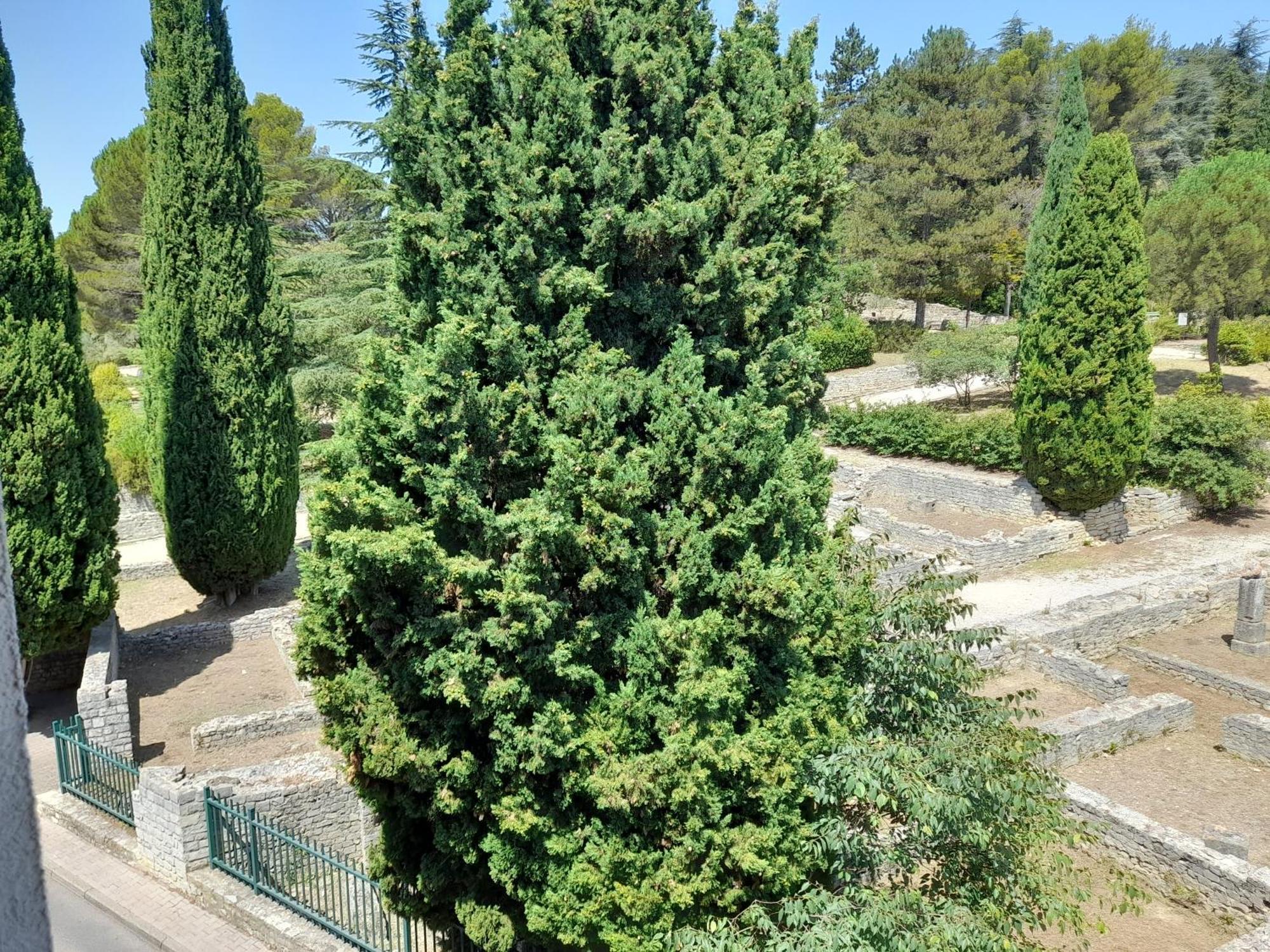 维逊拉洛梅尼Grande Terrasse Et Vue Sur Le Site Antique公寓 外观 照片